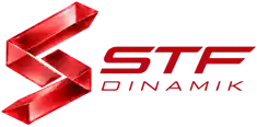 STF Dinamik logo